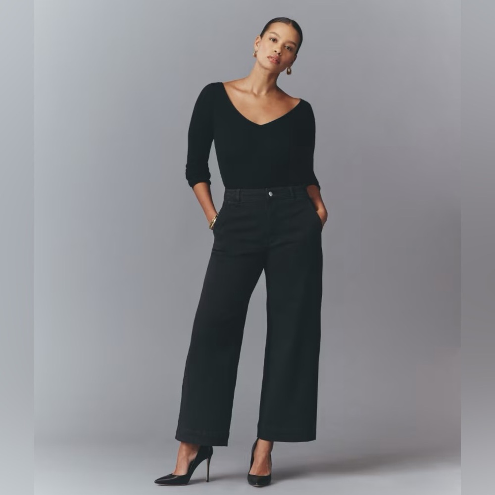Everlane The Utility Wide-Leg Pant